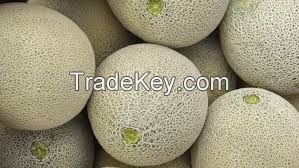 Fresh Muskmelon