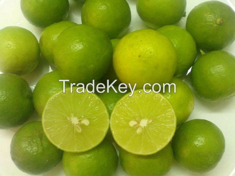 Fresh Lime