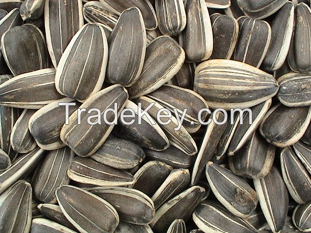 Sunflower seeds