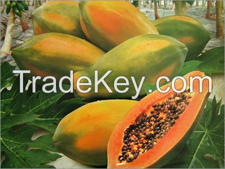 Fresh Papaya