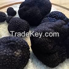 High Quality Fresh Black Truffle, Frozen Mushroom