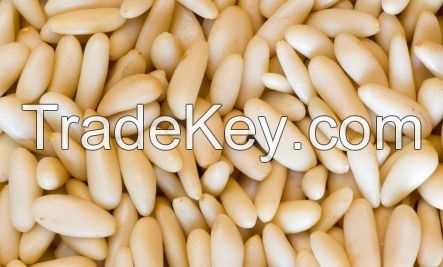 Top Grade Pine Nuts Available