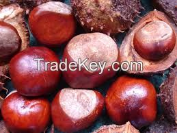 New Crop Organic Bulk Fresh Chestnuts for sale