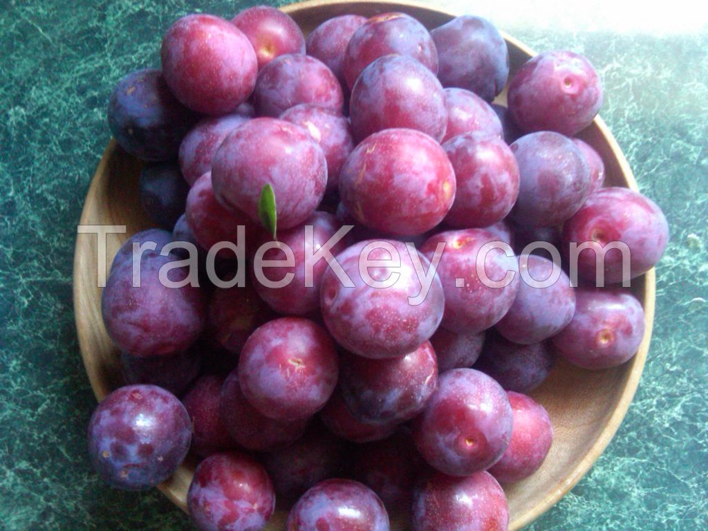 Fresh Plums Ready