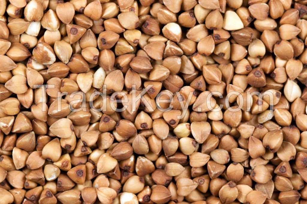 Roasted Buckwheat