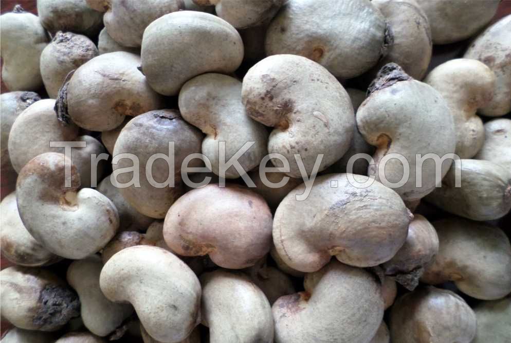 CASHEW NUTS