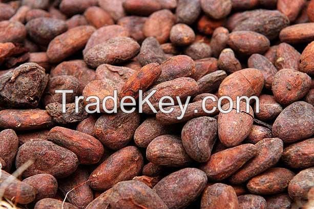 COCOA BEANS