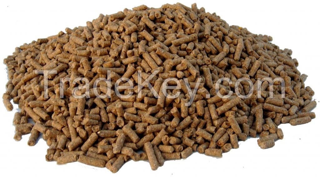 Moringa Horse Feed