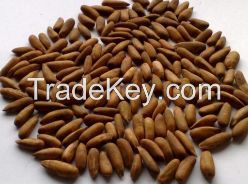 Pine Nuts / Pine Kernel /  Pecan Nuts /  Kidney Beans / Chickpeas