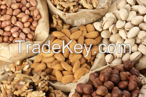 Cashew Nuts