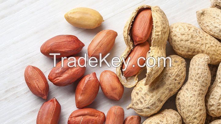 peanut, groundnut