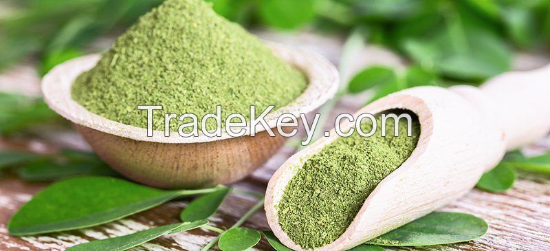 Moringa Oleifera Powder