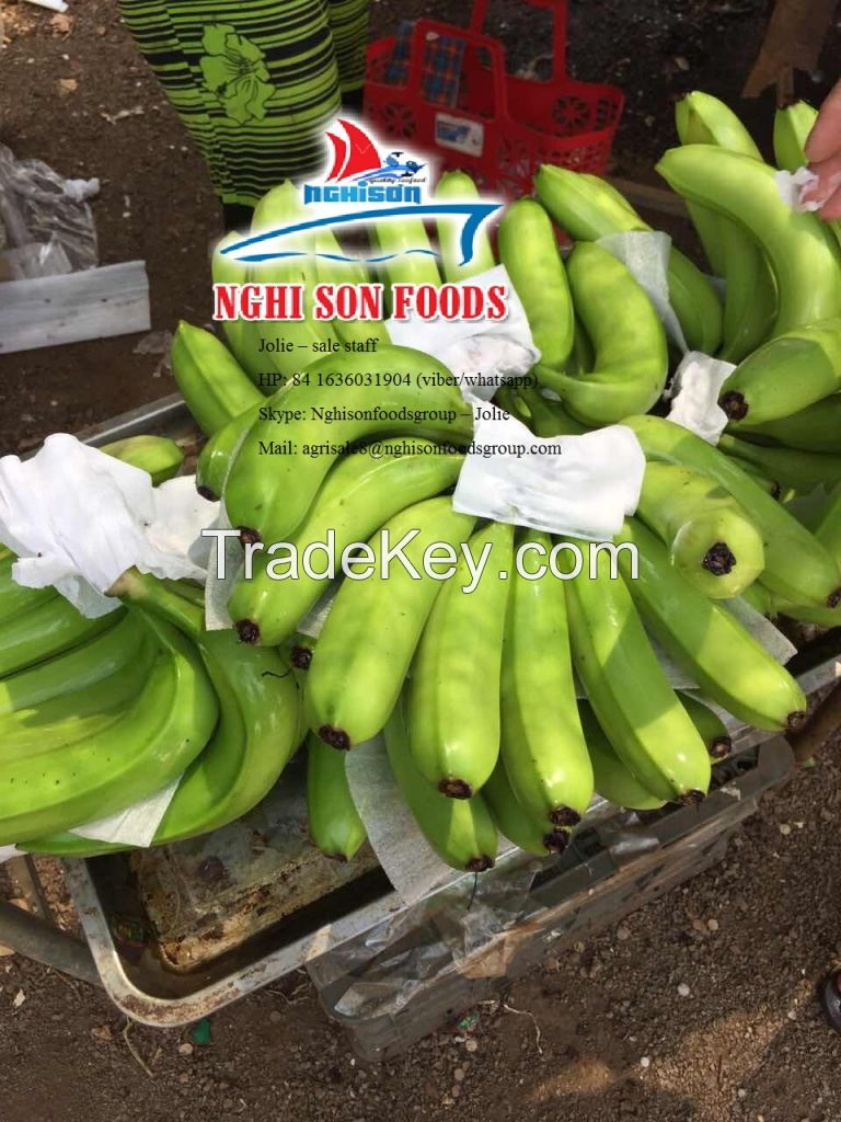 Fresh cavendish banana