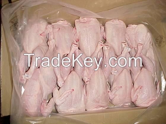 Frozen Whole Chicken and Parts !! Top Supplier !!!