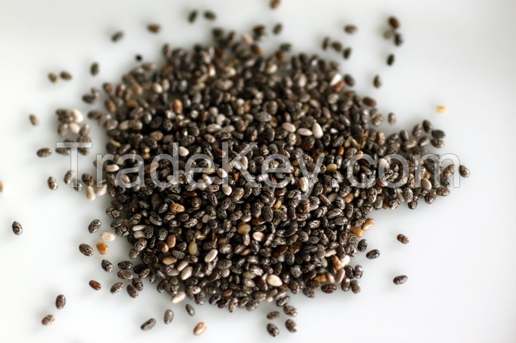 BULK CHIA SEED WHITE AND BLACK