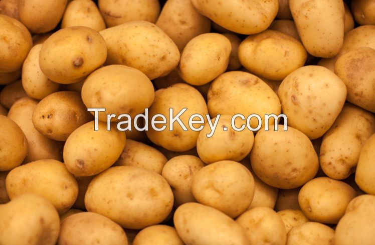 FRESH POTATOES