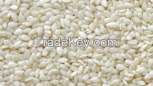 FIRST GRADE SESAME SEEDS