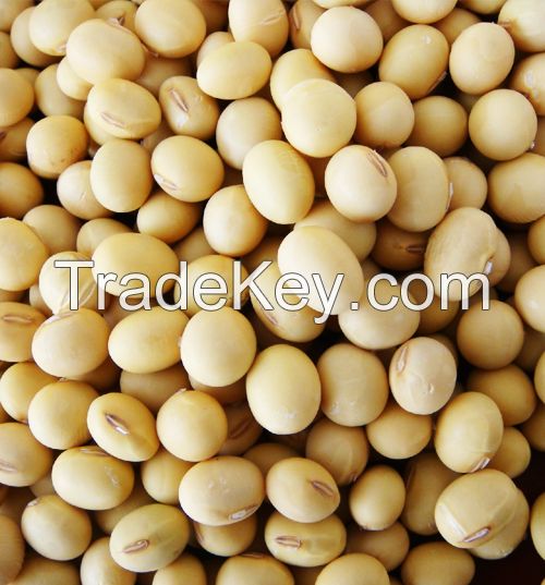 First Grade soyabeans for sale