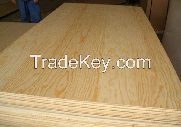 Plywood for sale