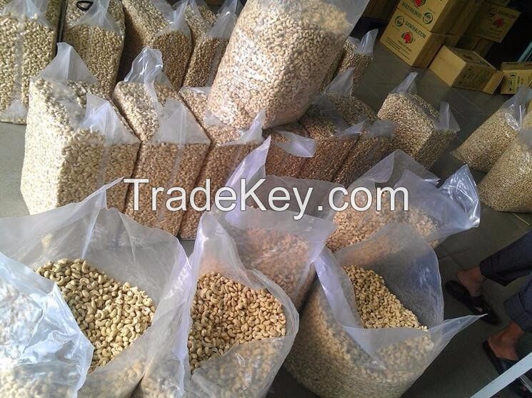 Wholesale for premium quality w240 w320 cashew nuts/cashew kernels