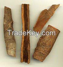 Top Quality cassia cinnamon