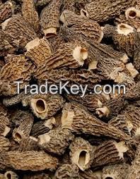 Dried Morchella Wild Mushroom