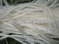 Kenyan Sisal Fiber