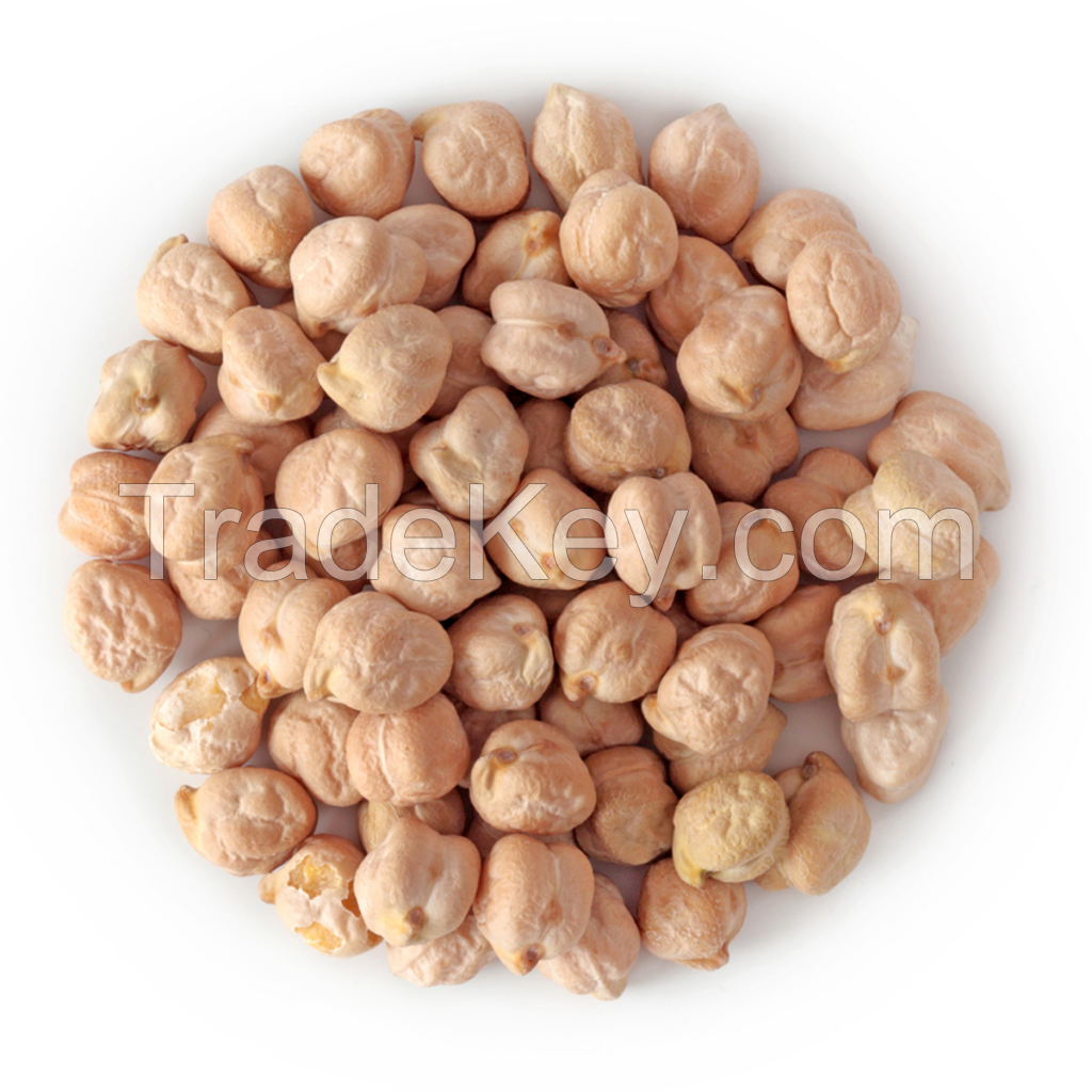 High Quality Turkish Chickpeas