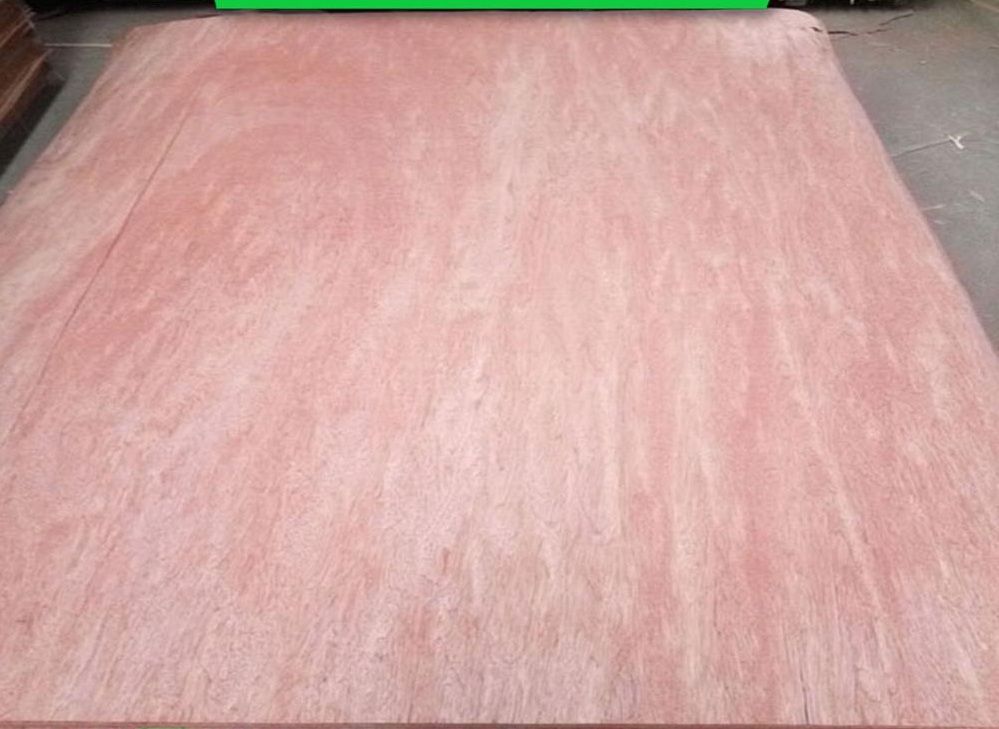 hot sale veneer face 0.1mm to 0.8mm okoume, bintangor, eucalyptus, polor veneer for all around world market