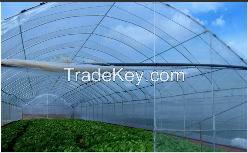 Greenhouse Film