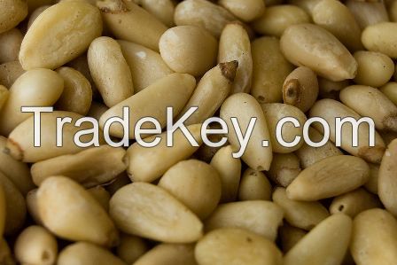 Hot sale Pine nut for exportation