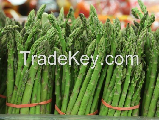 FRESH GREEN ASPARAGUS HIGH QUALITY BEST PRICE