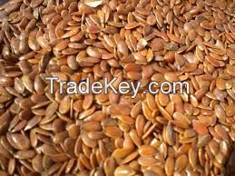 BEST QUALITY FLAX SEED