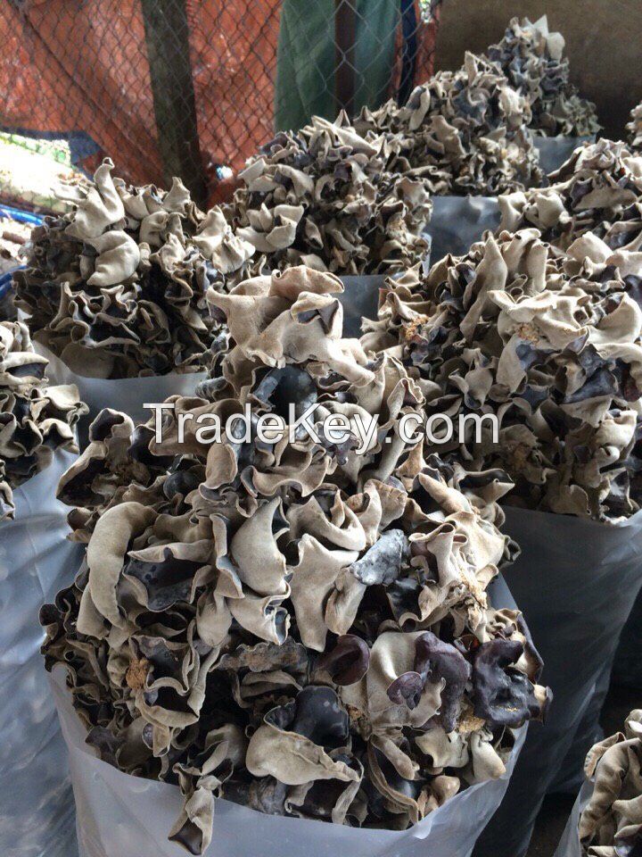 Wood ear mushroom Dried black fungus mushroom