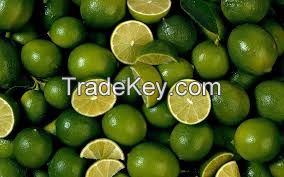 FRESH LIMES