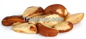 BRAZIL NUTS