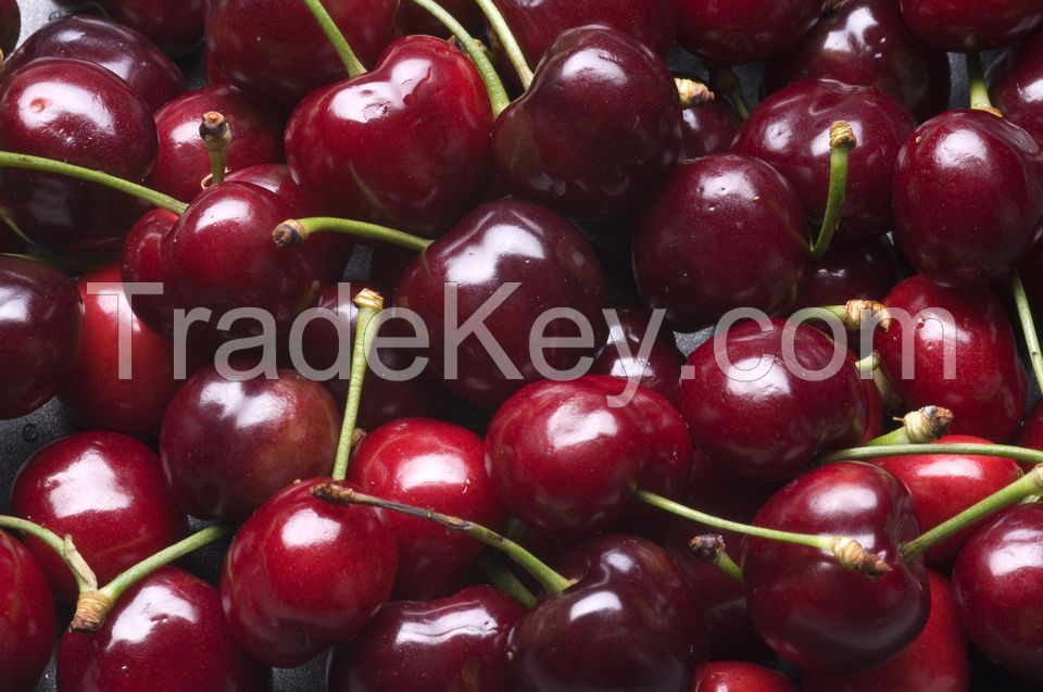 Fresh Cherries