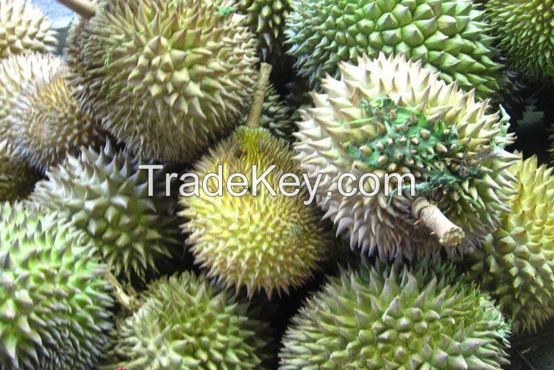 Fresh Durians