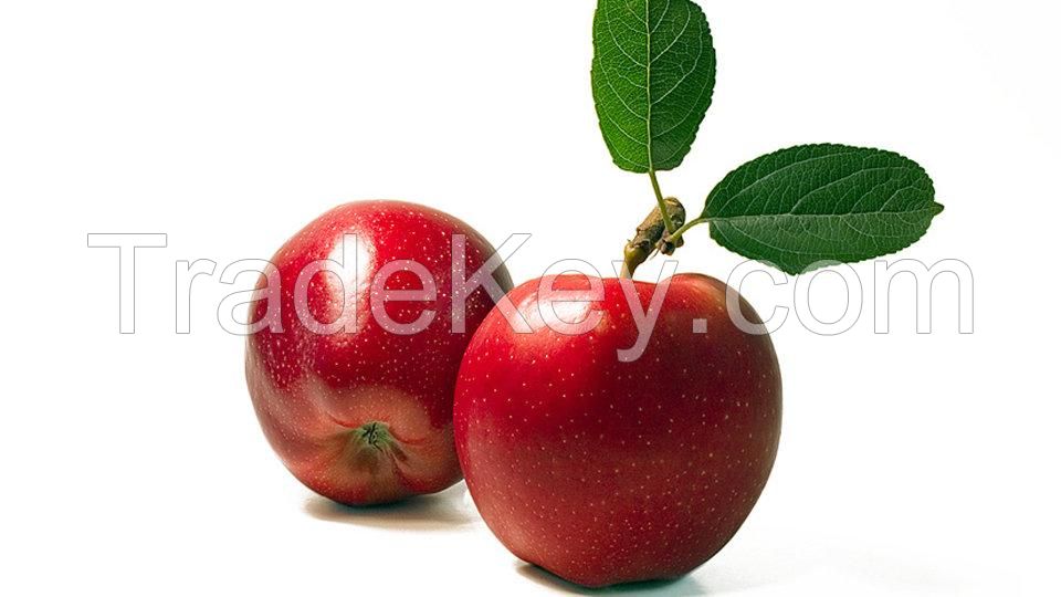 Red Apples