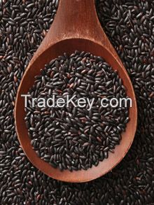 Black Rice