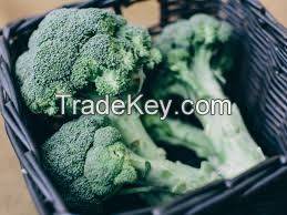 Fresh Broccoli