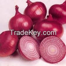 Fresh Onions