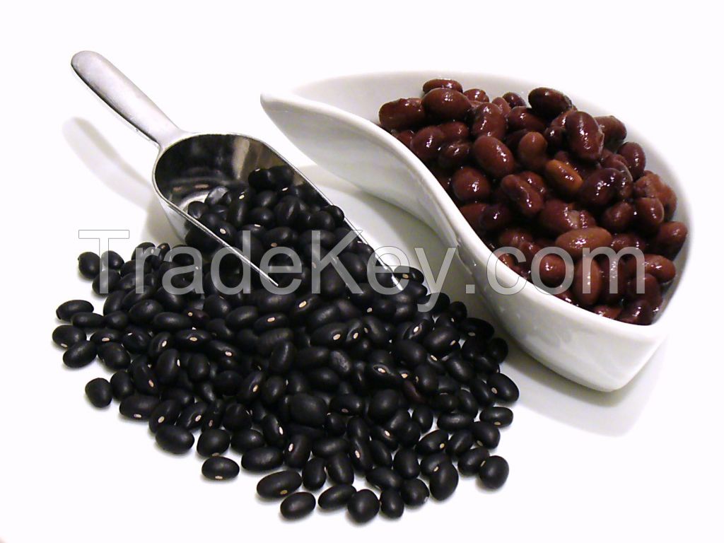 **Exploring the Rich Flavors of Authentic Korean Black Bean Paste: A Culinary Journey**