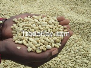 Arabica Coffee Bean