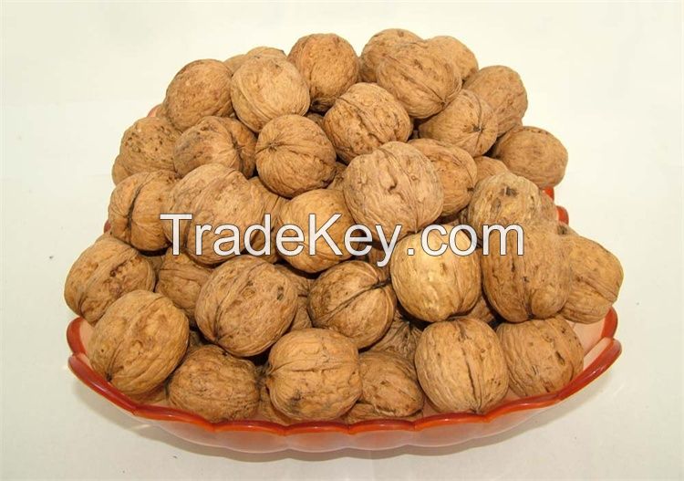 Natural Chilean Inshell Walnuts