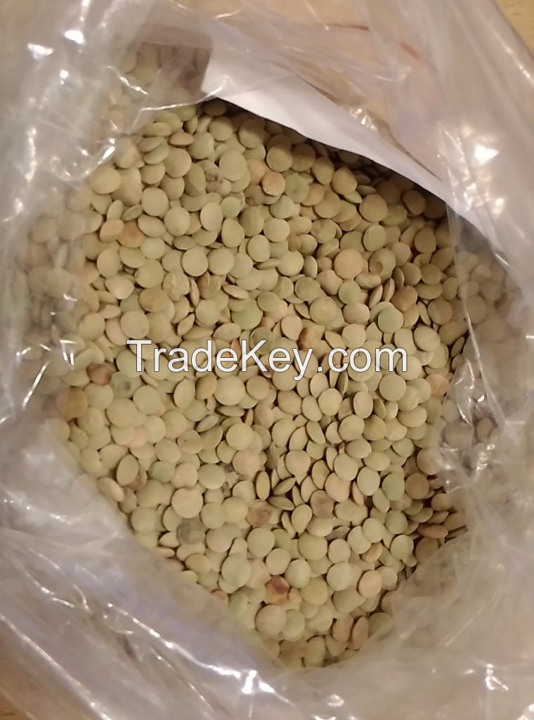 Green lentils, crop 2017, Russian origin