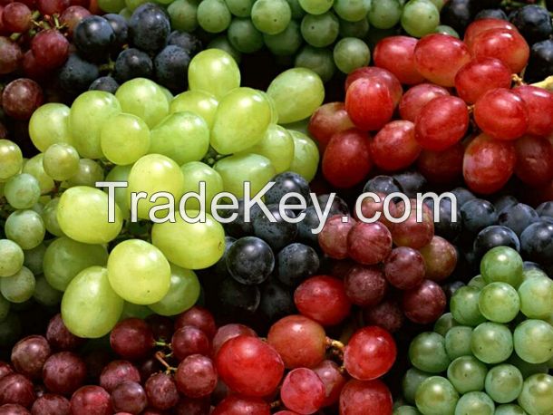 High Quality Fresh Seedless Green Grapes Fresh Grapes/Frozen Grapes