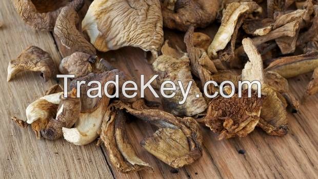 SUPPLY DRIED MUSHROOM/ DRIED MUSHROOM WITH THE BEST PRICE