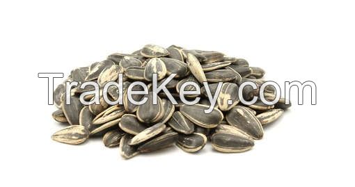 Grade A Sunflower Kernel/ Sunflower Seed For Sale