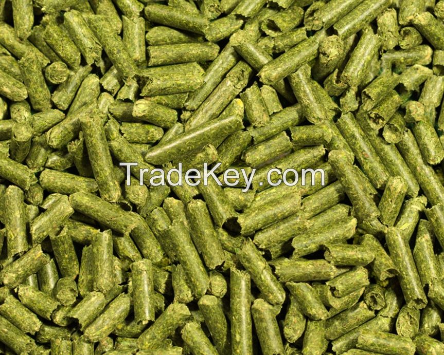 Double Pressed Alfafa Hay Bales / GRADE A Alfafa Hay pellets